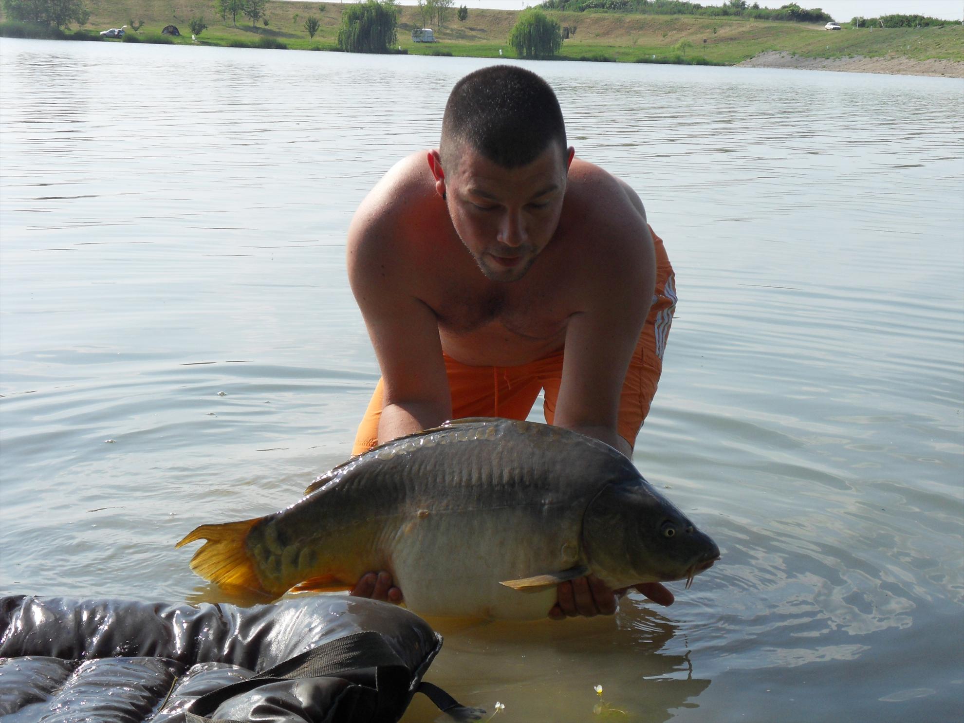 Cetariu 2011 - cetariu2011-041.JPG